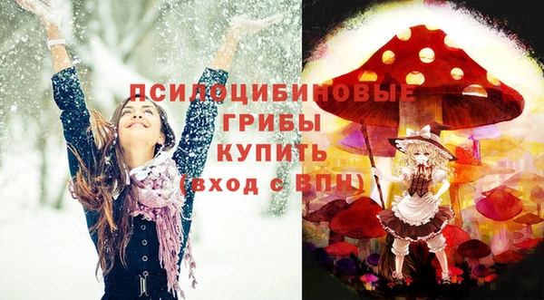молекула духа Приозерск