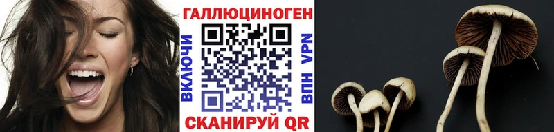 hydra вход  Зуевка  Галлюциногенные грибы GOLDEN TEACHER  продажа наркотиков 